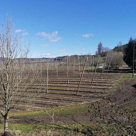Ferienhof Hopfgaertle Mueller Bodnegg Екстериор снимка