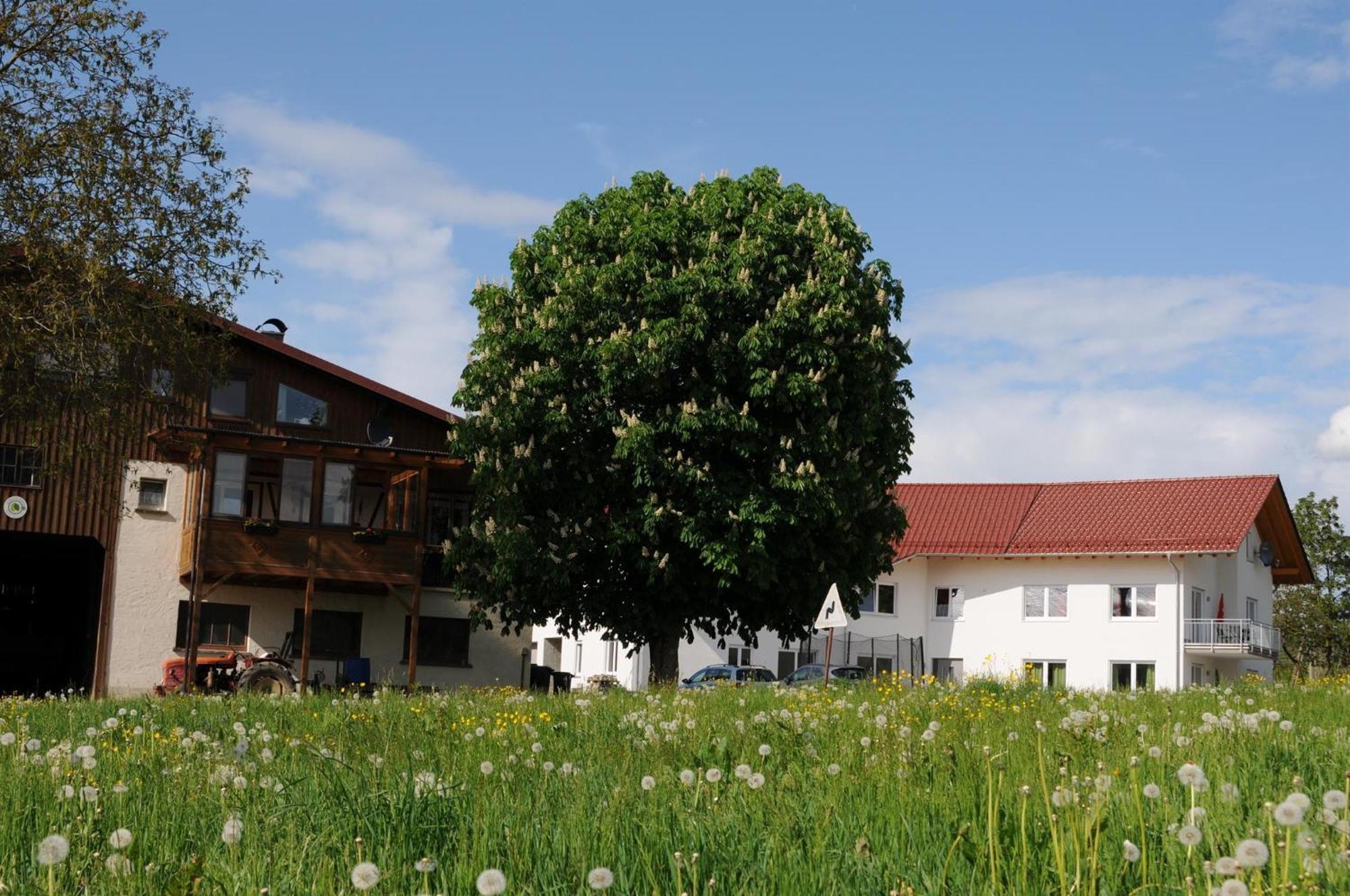 Ferienhof Hopfgaertle Mueller Bodnegg Екстериор снимка