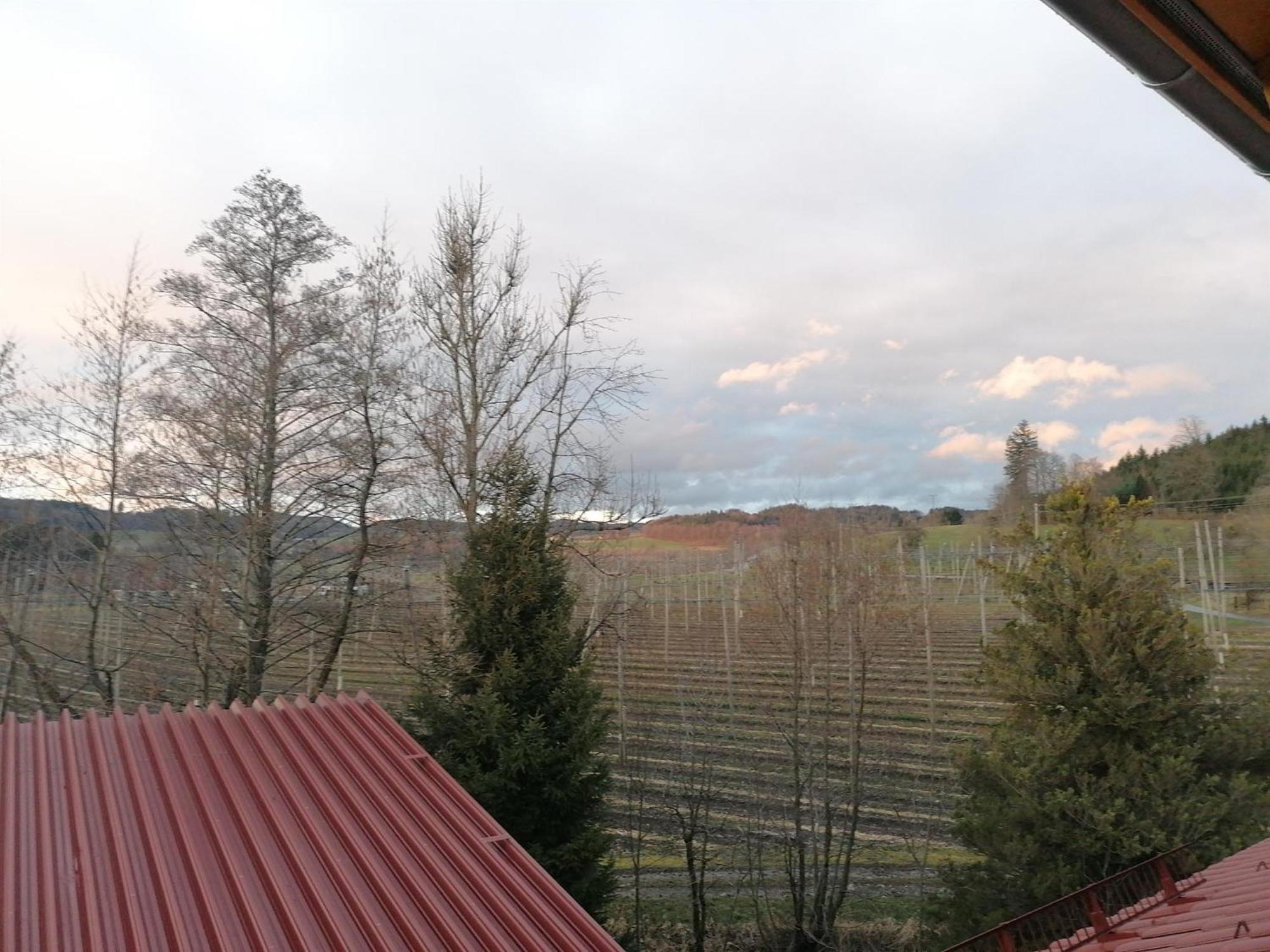 Ferienhof Hopfgaertle Mueller Bodnegg Стая снимка